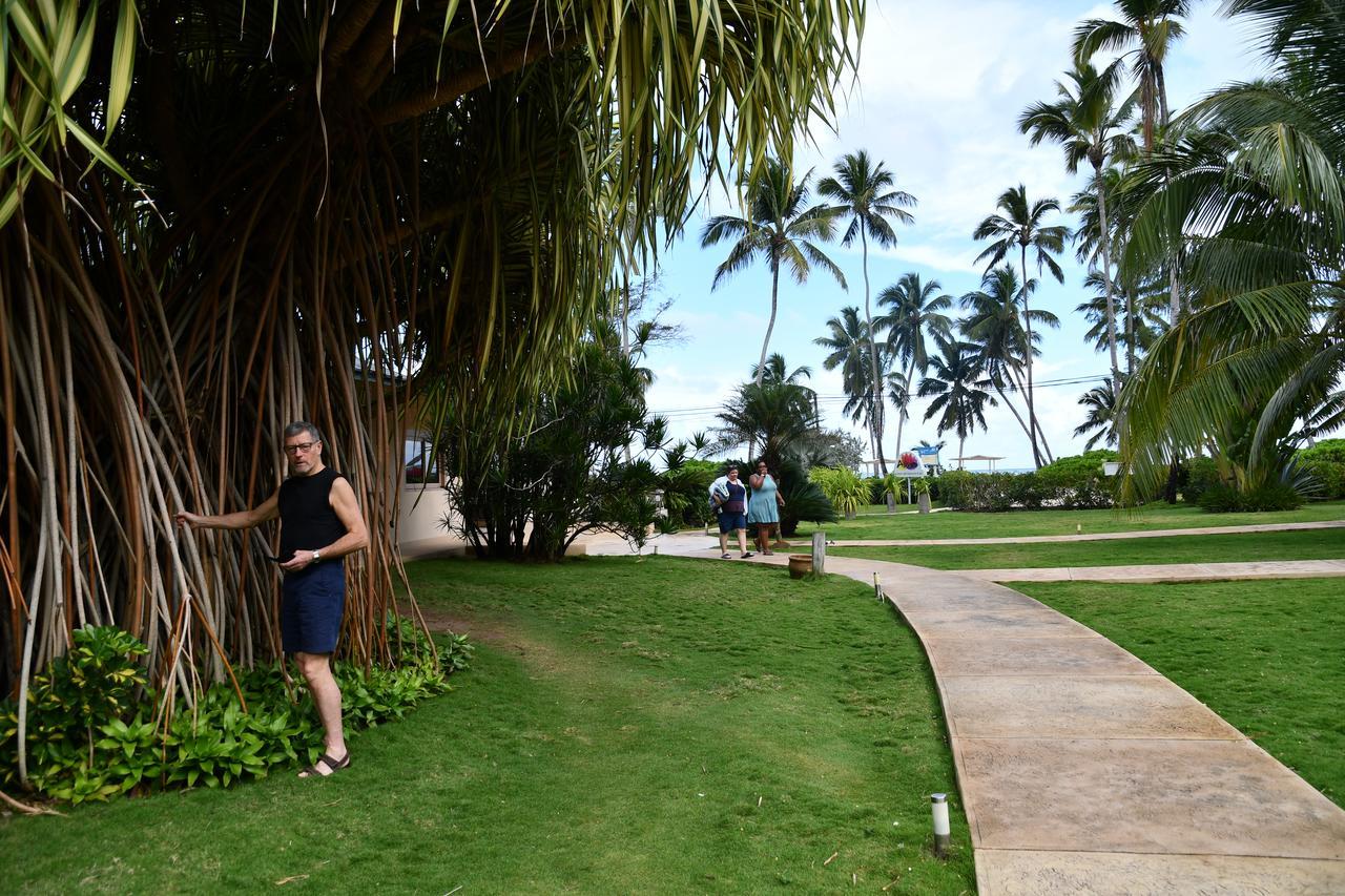 Hotel Alisei Las Terrenas Exterior foto